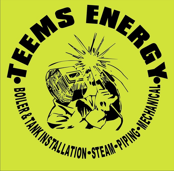 teems-energy-steam-t-back